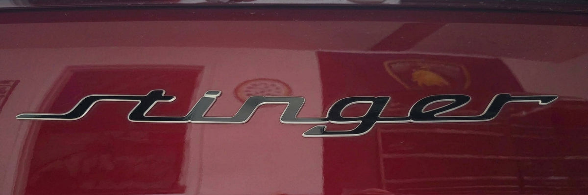 Model Badge Decal Overlay | Fits Various Vehicle Badges
