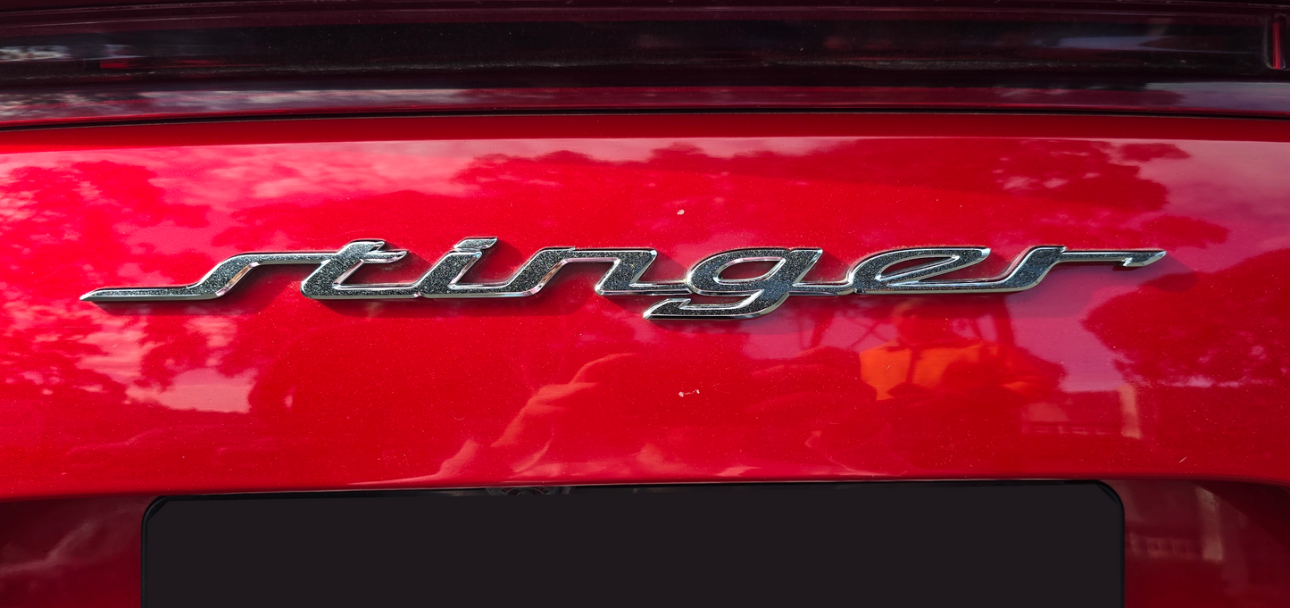 Model Badge Decal Overlay | Fits Various Kia Vehicle Badges