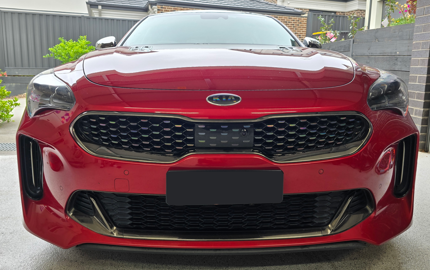 Badge Decal Overlay Set | Fits Kia Stinger MY18-21 | Front + Rear + Stinger + Steering Wheel + GT (Optional)