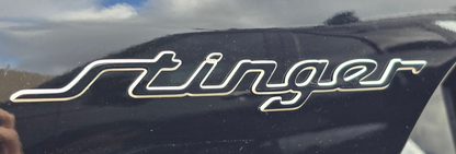 Model Badge Decal Overlay | Fits Various Kia Vehicle Badges
